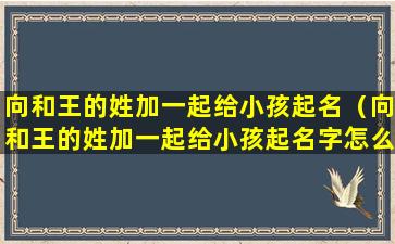 向和王的姓加一起给小孩起名（向和王的姓加一起给小孩起名字怎么取 🐦 ）